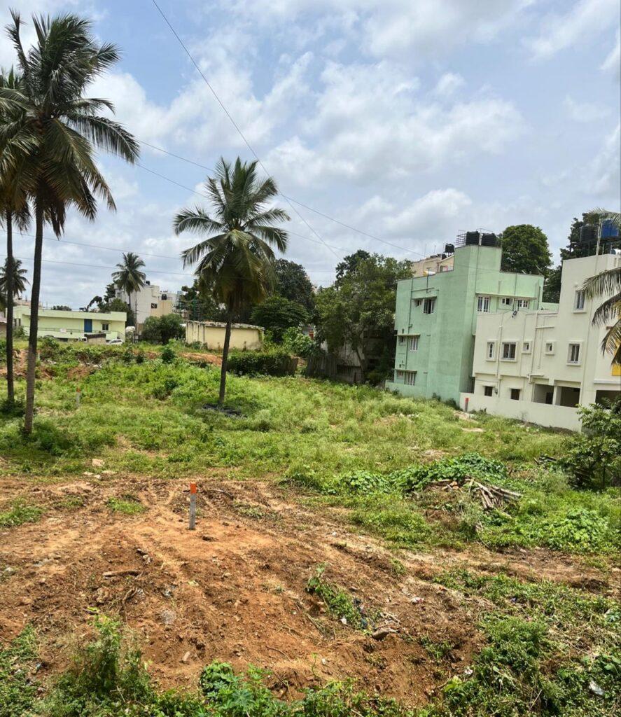 ನೀವು ಖರೀದಿಸುವ ನಿವೇಶನದಲ್ಲಿ ಈ ಗಿಡವಿದ್ದರೆ ಹಣ ಸುರಿಯುವ ಮುನ್ನ ಒಮ್ಮೆ ಯೋಚಿಸಿ!