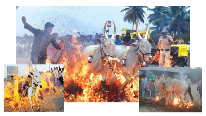 Sankranti 2023 Sankranti 2023