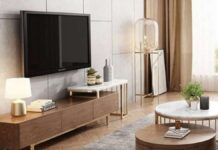 Vastu;ಮನೆಯಲ್ಲಿ ತಪ್ಪಾದ ದಿಕ್ಕಿನಲ್ಲಿ ಇರಿಸಿದ ಟಿವಿ ಧನ ಹಾನಿಗೆ ಕಾರಣ, ಅದು ಈ ದಿಕ್ಕಿನಲ್ಲಿ ಇದ್ದರೆ ಮಾತ್ರ ಶುಭ