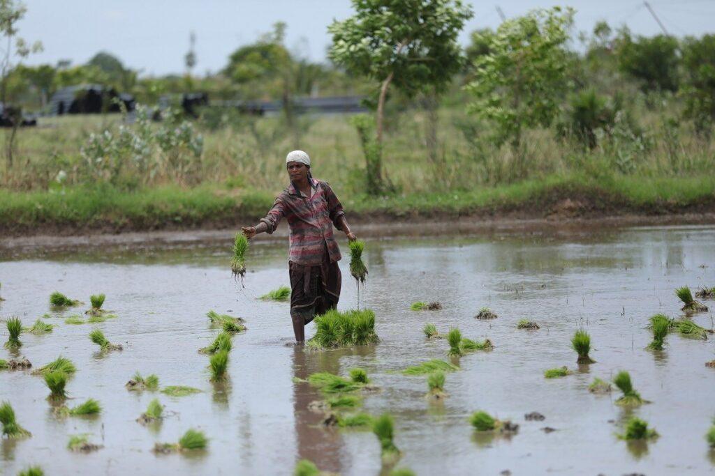 GOOD NEWS: ಕಿಸಾನ್‌ ಸಮ್ಮಾನ್‌ ಯೋಜನೆಯಡಿ  ರೈತ ಮಹಿಳೆಯರಿಗೆ ₹12,000 ಘೋಷಣೆ ಸಾಧ್ಯತೆ
