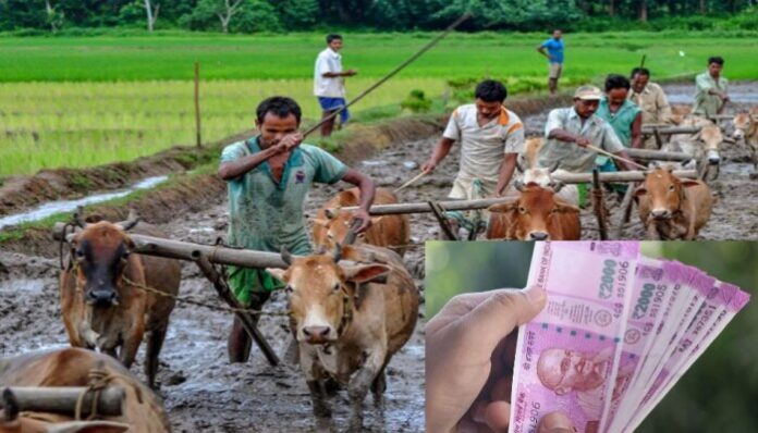 201689-pmkisaan-yojana