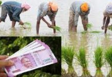 PM Kisan Manadhan;ಸಣ್ಣಮತ್ತು ಅತಿ ಸಣ್ಣ ರೈತರಿಗೆ 3,000ರೂ ಪಿಂಚಣಿ ಭಾಗ್ಯ